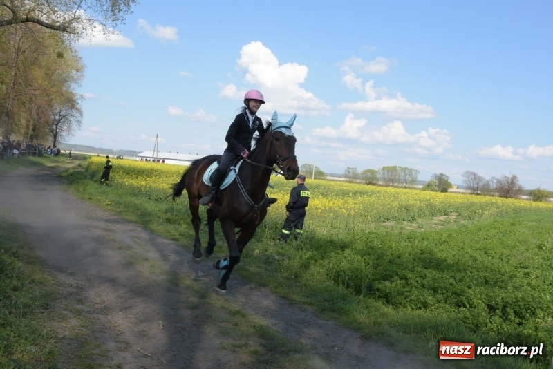 Zdjęcie w galerii na portalu naszraciborz.pl: Rekordowa liczba koni w Bieńkowicach [FOTO i WIDEO] wiadomości z regionu