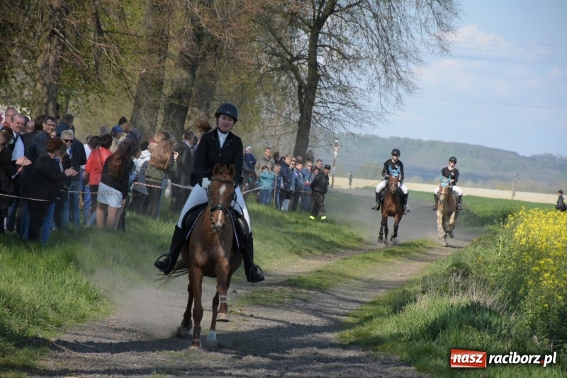 Zdjęcie w galerii na portalu naszraciborz.pl: Rekordowa liczba koni w Bieńkowicach [FOTO i WIDEO] wiadomości z regionu