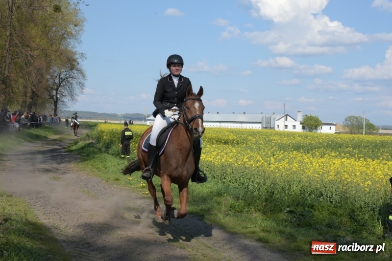 Zdjęcie w galerii na portalu naszraciborz.pl: Rekordowa liczba koni w Bieńkowicach [FOTO i WIDEO] wiadomości z regionu