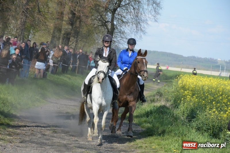 Zdjęcie w galerii na portalu naszraciborz.pl: Rekordowa liczba koni w Bieńkowicach [FOTO i WIDEO] wiadomości z regionu