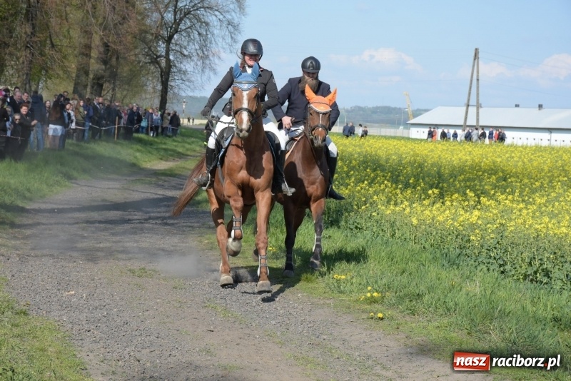 Zdjęcie w galerii na portalu naszraciborz.pl: Rekordowa liczba koni w Bieńkowicach [FOTO i WIDEO] wiadomości z regionu