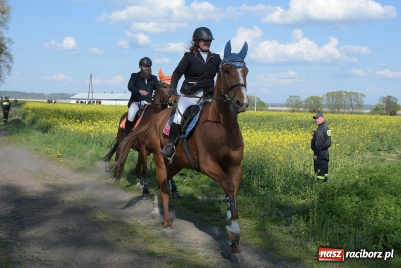 Zdjęcie w galerii na portalu naszraciborz.pl: Rekordowa liczba koni w Bieńkowicach [FOTO i WIDEO] wiadomości z regionu