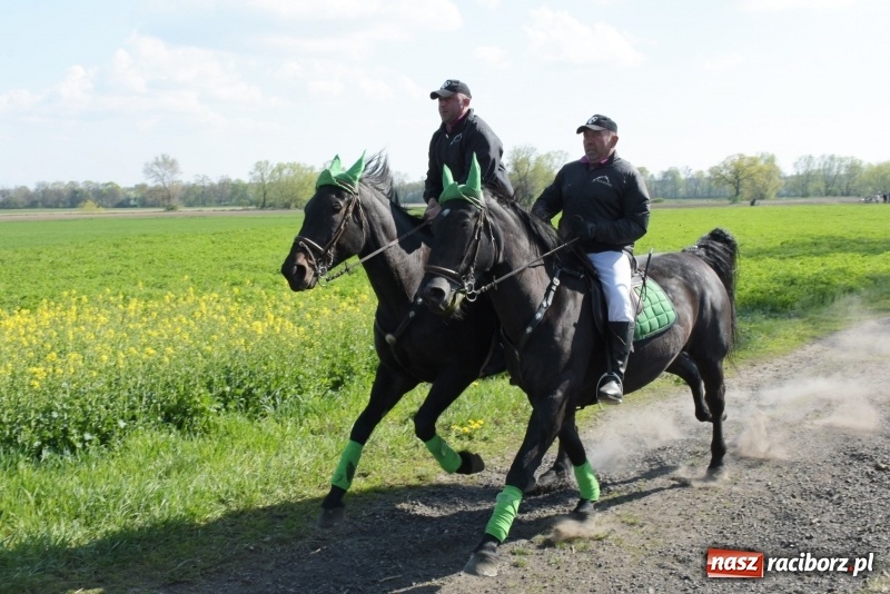 Zdjęcie w galerii na portalu naszraciborz.pl: Rekordowa liczba koni w Bieńkowicach [FOTO i WIDEO] wiadomości z regionu