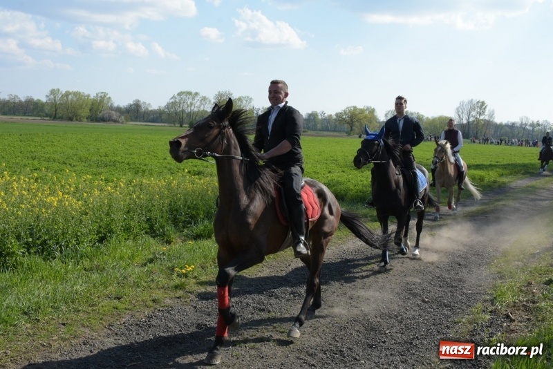 Zdjęcie w galerii na portalu naszraciborz.pl: Rekordowa liczba koni w Bieńkowicach [FOTO i WIDEO] wiadomości z regionu