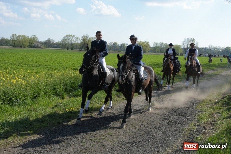 Zdjęcie w galerii na portalu naszraciborz.pl: Rekordowa liczba koni w Bieńkowicach [FOTO i WIDEO] wiadomości z regionu
