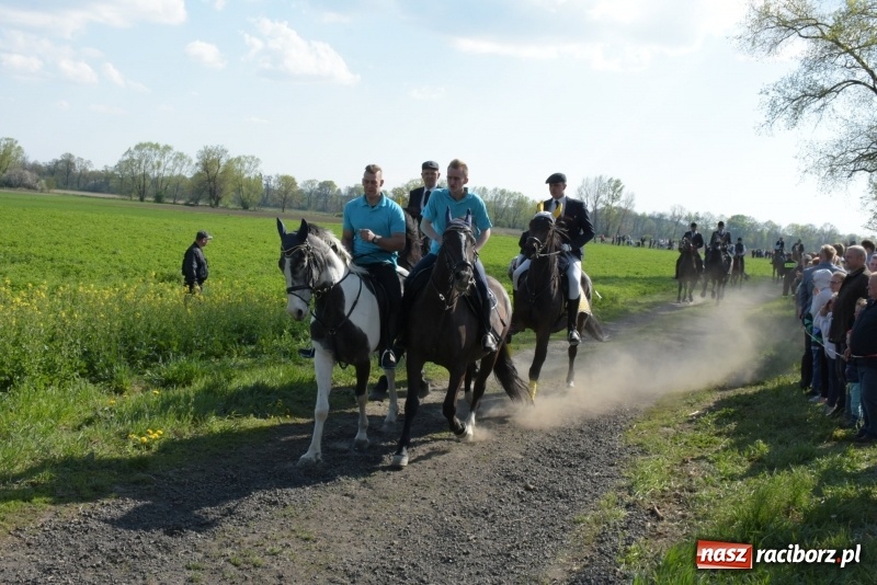 Zdjęcie w galerii na portalu naszraciborz.pl: Rekordowa liczba koni w Bieńkowicach [FOTO i WIDEO] wiadomości z regionu