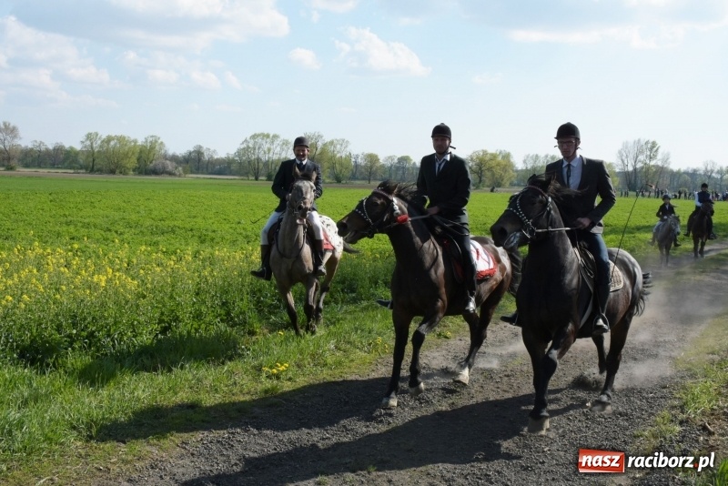 Zdjęcie w galerii na portalu naszraciborz.pl: Rekordowa liczba koni w Bieńkowicach [FOTO i WIDEO] wiadomości z regionu