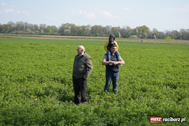 Zdjęcie w galerii na portalu naszraciborz.pl: Rekordowa liczba koni w Bieńkowicach [FOTO i WIDEO] wiadomości z regionu