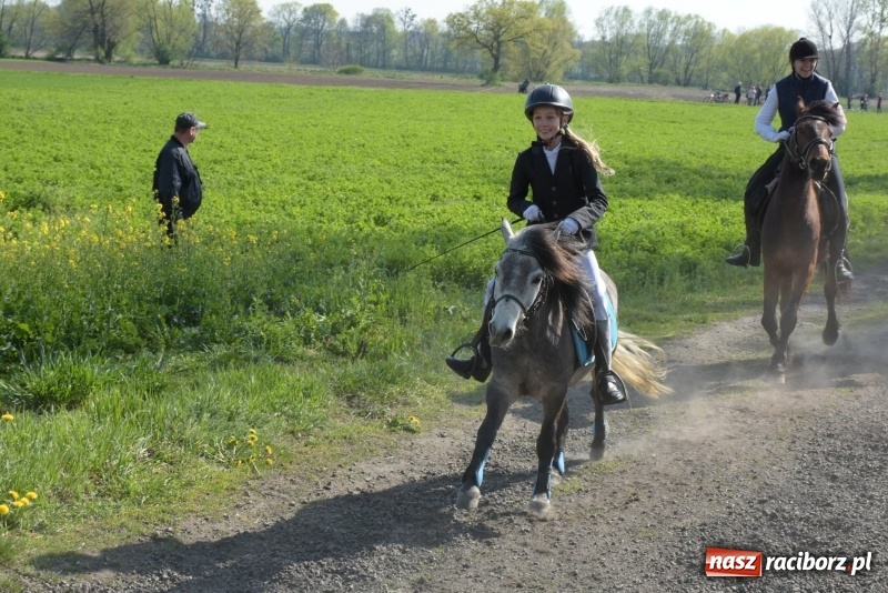 Zdjęcie w galerii na portalu naszraciborz.pl: Rekordowa liczba koni w Bieńkowicach [FOTO i WIDEO] wiadomości z regionu