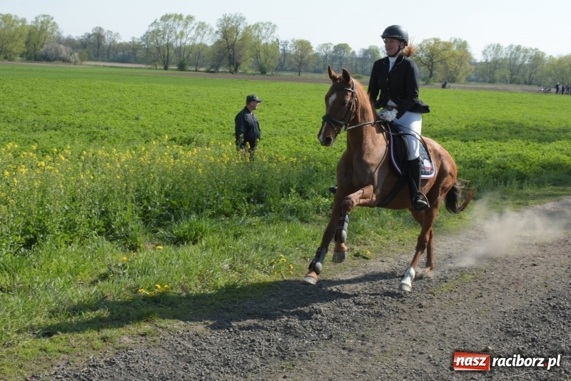 Zdjęcie w galerii na portalu naszraciborz.pl: Rekordowa liczba koni w Bieńkowicach [FOTO i WIDEO] wiadomości z regionu