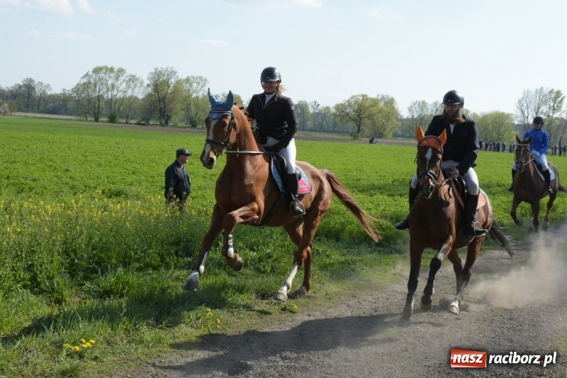 Zdjęcie w galerii na portalu naszraciborz.pl: Rekordowa liczba koni w Bieńkowicach [FOTO i WIDEO] wiadomości z regionu