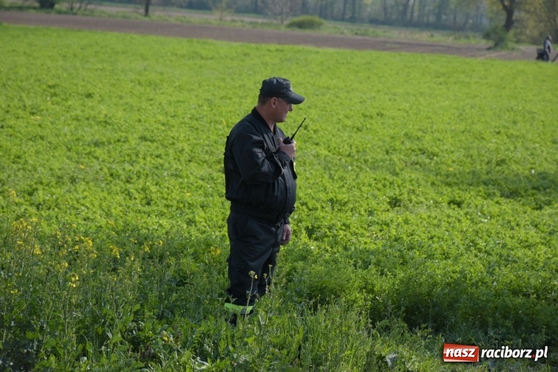 Zdjęcie w galerii na portalu naszraciborz.pl: Rekordowa liczba koni w Bieńkowicach [FOTO i WIDEO] wiadomości z regionu