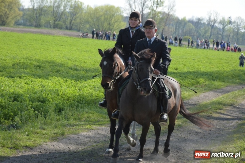 Zdjęcie w galerii na portalu naszraciborz.pl: Rekordowa liczba koni w Bieńkowicach [FOTO i WIDEO] wiadomości z regionu