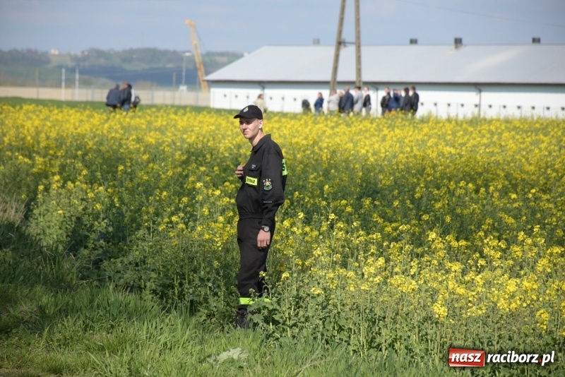 Zdjęcie w galerii na portalu naszraciborz.pl: Rekordowa liczba koni w Bieńkowicach [FOTO i WIDEO] wiadomości z regionu