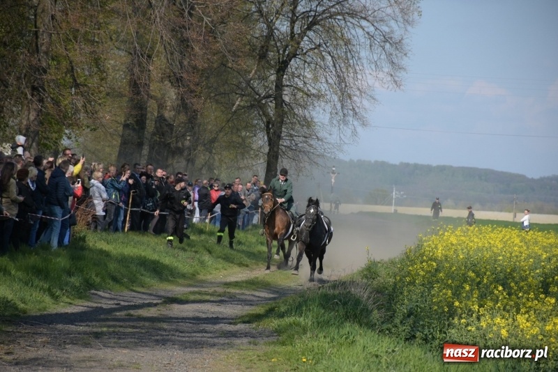 Zdjęcie w galerii na portalu naszraciborz.pl: Rekordowa liczba koni w Bieńkowicach [FOTO i WIDEO] wiadomości z regionu