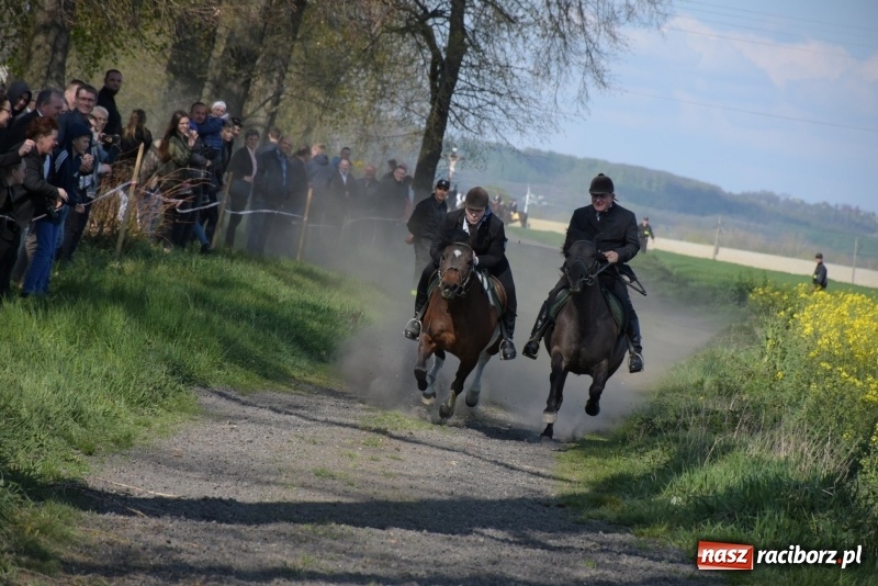 Zdjęcie w galerii na portalu naszraciborz.pl: Rekordowa liczba koni w Bieńkowicach [FOTO i WIDEO] wiadomości z regionu