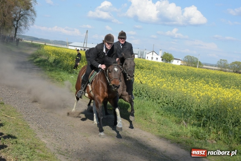 Zdjęcie w galerii na portalu naszraciborz.pl: Rekordowa liczba koni w Bieńkowicach [FOTO i WIDEO] wiadomości z regionu