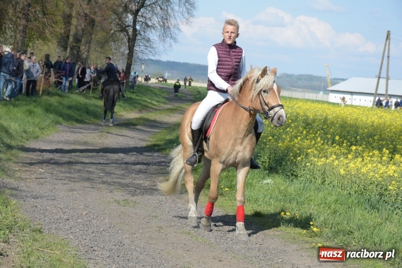 Zdjęcie w galerii na portalu naszraciborz.pl: Rekordowa liczba koni w Bieńkowicach [FOTO i WIDEO] wiadomości z regionu