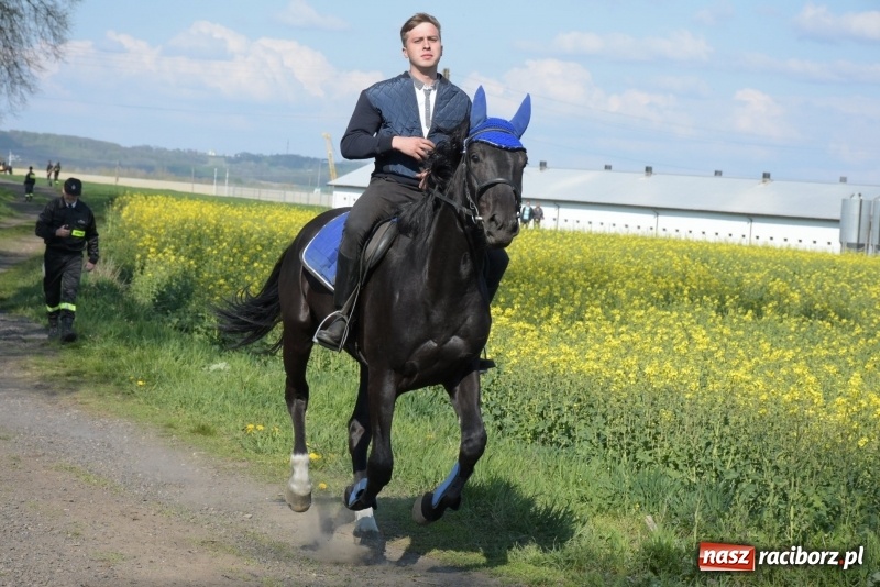 Zdjęcie w galerii na portalu naszraciborz.pl: Rekordowa liczba koni w Bieńkowicach [FOTO i WIDEO] wiadomości z regionu
