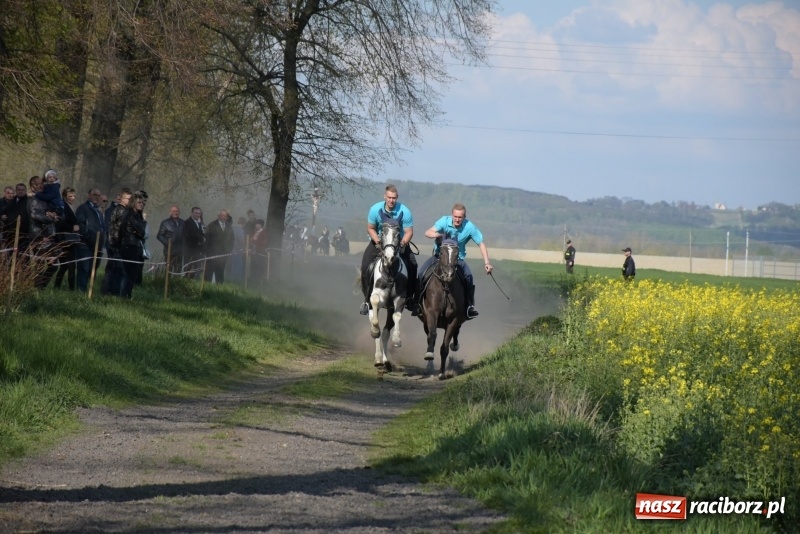 Zdjęcie w galerii na portalu naszraciborz.pl: Rekordowa liczba koni w Bieńkowicach [FOTO i WIDEO] wiadomości z regionu
