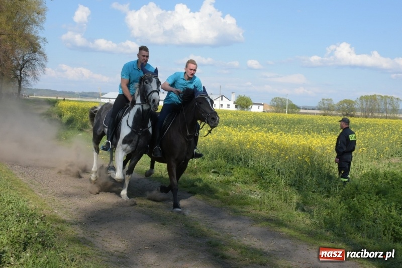 Zdjęcie w galerii na portalu naszraciborz.pl: Rekordowa liczba koni w Bieńkowicach [FOTO i WIDEO] wiadomości z regionu