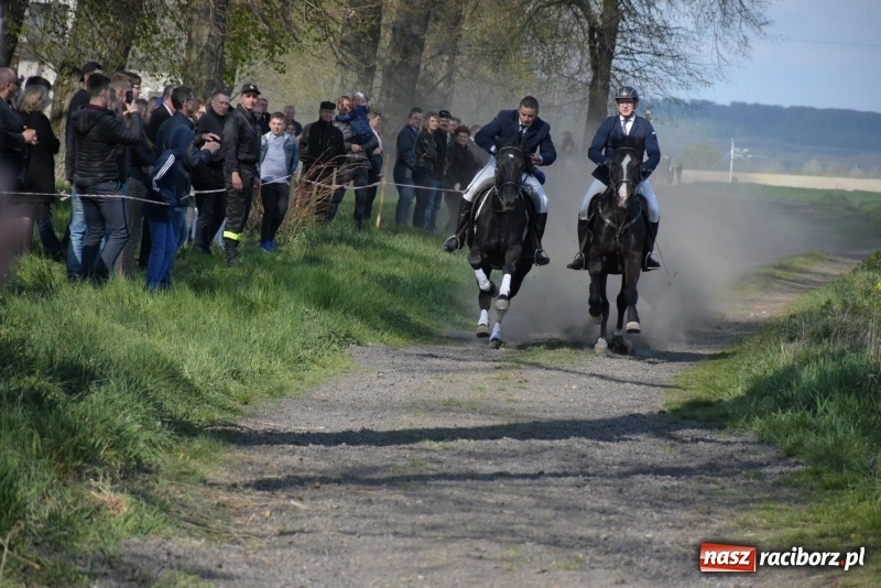 Zdjęcie w galerii na portalu naszraciborz.pl: Rekordowa liczba koni w Bieńkowicach [FOTO i WIDEO] wiadomości z regionu