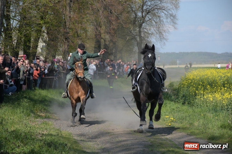 Zdjęcie w galerii na portalu naszraciborz.pl: Rekordowa liczba koni w Bieńkowicach [FOTO i WIDEO] wiadomości z regionu