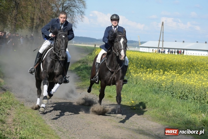Zdjęcie w galerii na portalu naszraciborz.pl: Rekordowa liczba koni w Bieńkowicach [FOTO i WIDEO] wiadomości z regionu