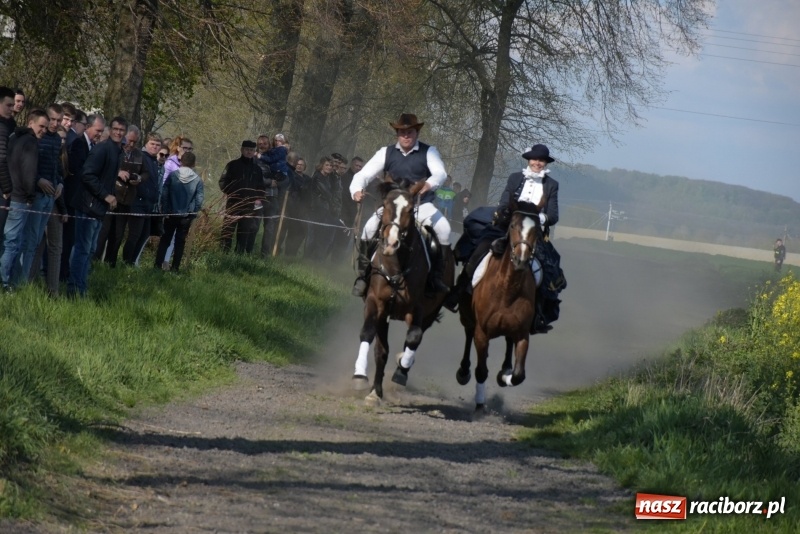 Zdjęcie w galerii na portalu naszraciborz.pl: Rekordowa liczba koni w Bieńkowicach [FOTO i WIDEO] wiadomości z regionu