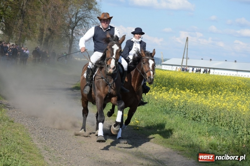 Zdjęcie w galerii na portalu naszraciborz.pl: Rekordowa liczba koni w Bieńkowicach [FOTO i WIDEO] wiadomości z regionu