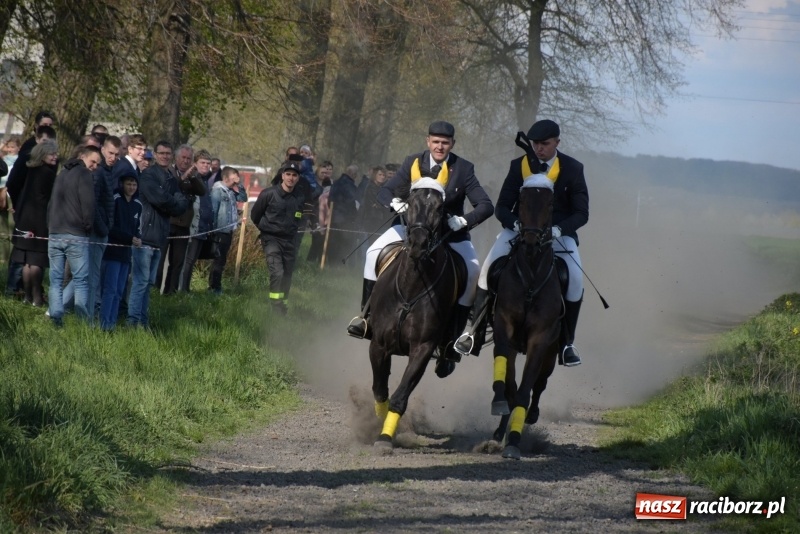 Zdjęcie w galerii na portalu naszraciborz.pl: Rekordowa liczba koni w Bieńkowicach [FOTO i WIDEO] wiadomości z regionu