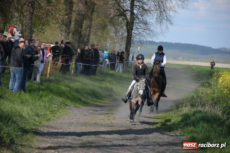 Zdjęcie w galerii na portalu naszraciborz.pl: Rekordowa liczba koni w Bieńkowicach [FOTO i WIDEO] wiadomości z regionu