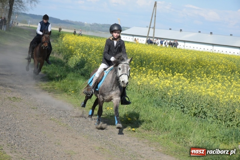 Zdjęcie w galerii na portalu naszraciborz.pl: Rekordowa liczba koni w Bieńkowicach [FOTO i WIDEO] wiadomości z regionu