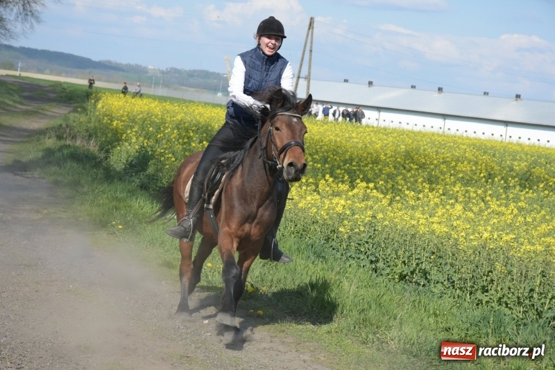 Zdjęcie w galerii na portalu naszraciborz.pl: Rekordowa liczba koni w Bieńkowicach [FOTO i WIDEO] wiadomości z regionu