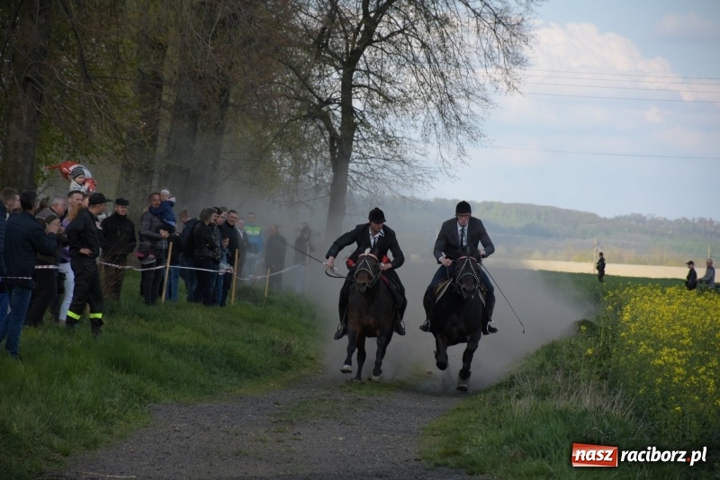 Zdjęcie w galerii na portalu naszraciborz.pl: Rekordowa liczba koni w Bieńkowicach [FOTO i WIDEO] wiadomości z regionu