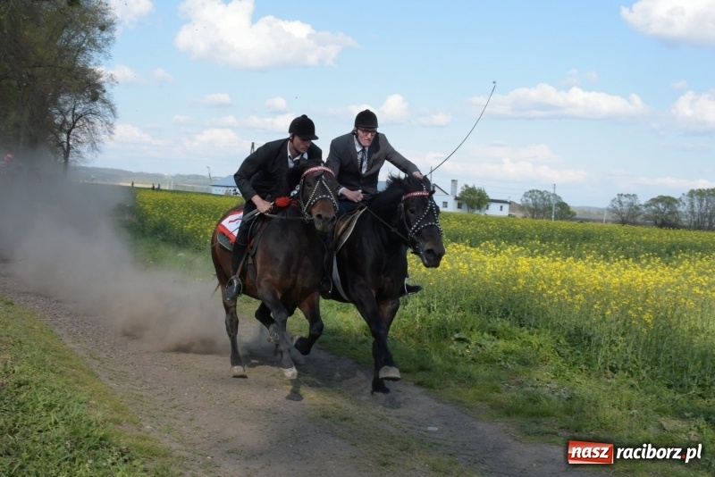 Zdjęcie w galerii na portalu naszraciborz.pl: Rekordowa liczba koni w Bieńkowicach [FOTO i WIDEO] wiadomości z regionu