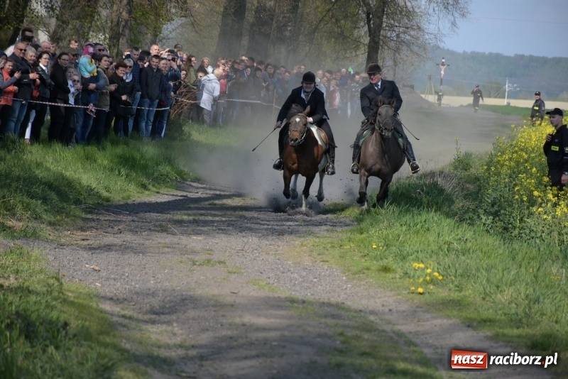 Zdjęcie w galerii na portalu naszraciborz.pl: Rekordowa liczba koni w Bieńkowicach [FOTO i WIDEO] wiadomości z regionu