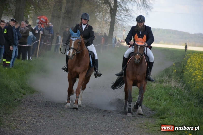 Zdjęcie w galerii na portalu naszraciborz.pl: Rekordowa liczba koni w Bieńkowicach [FOTO i WIDEO] wiadomości z regionu