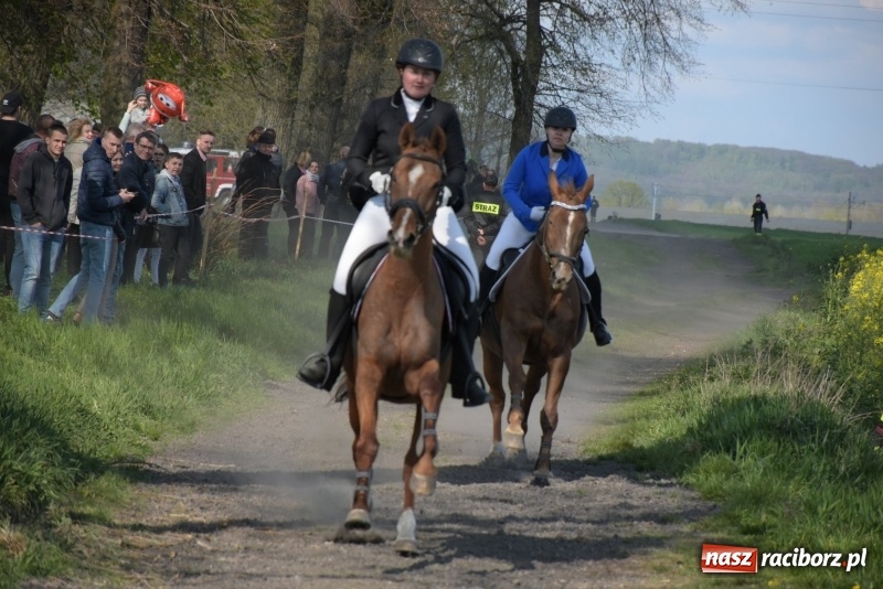 Zdjęcie w galerii na portalu naszraciborz.pl: Rekordowa liczba koni w Bieńkowicach [FOTO i WIDEO] wiadomości z regionu