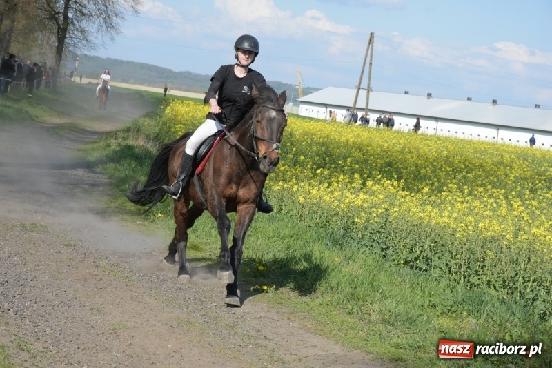 Zdjęcie w galerii na portalu naszraciborz.pl: Rekordowa liczba koni w Bieńkowicach [FOTO i WIDEO] wiadomości z regionu