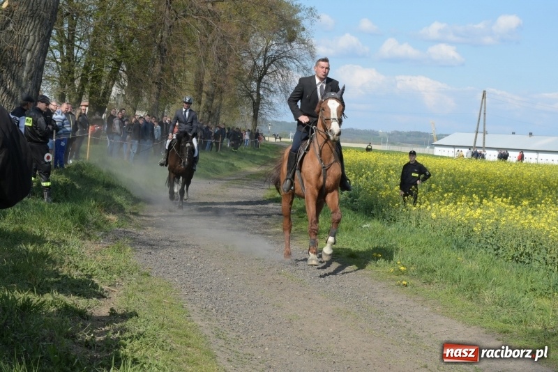 Zdjęcie w galerii na portalu naszraciborz.pl: Rekordowa liczba koni w Bieńkowicach [FOTO i WIDEO] wiadomości z regionu