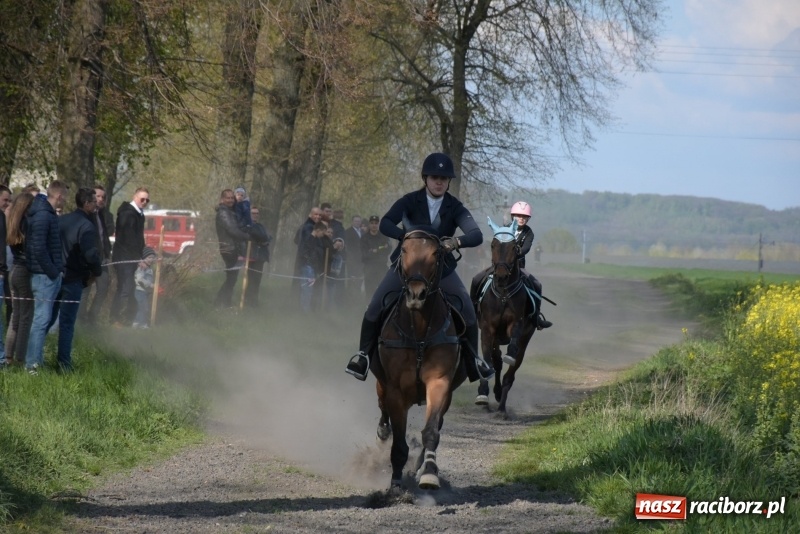 Zdjęcie w galerii na portalu naszraciborz.pl: Rekordowa liczba koni w Bieńkowicach [FOTO i WIDEO] wiadomości z regionu