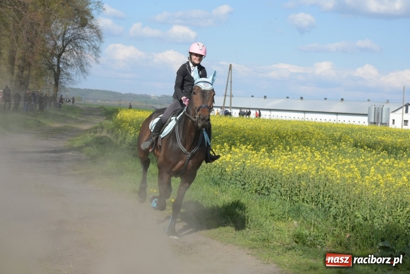 Zdjęcie w galerii na portalu naszraciborz.pl: Rekordowa liczba koni w Bieńkowicach [FOTO i WIDEO] wiadomości z regionu