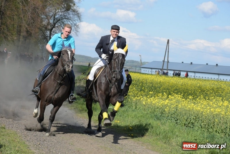 Zdjęcie w galerii na portalu naszraciborz.pl: Rekordowa liczba koni w Bieńkowicach [FOTO i WIDEO] wiadomości z regionu