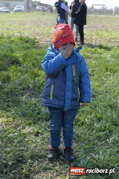 Zdjęcie w galerii na portalu naszraciborz.pl: Rekordowa liczba koni w Bieńkowicach [FOTO i WIDEO] wiadomości z regionu