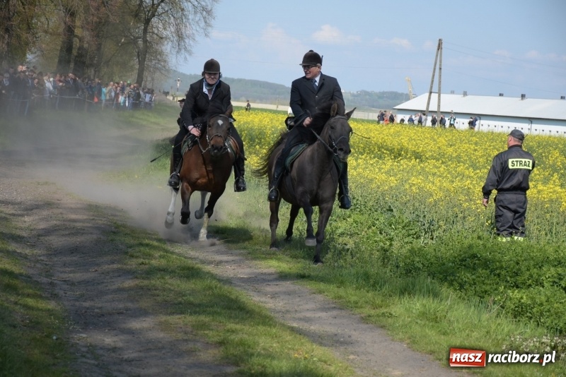 Zdjęcie w galerii na portalu naszraciborz.pl: Rekordowa liczba koni w Bieńkowicach [FOTO i WIDEO] wiadomości z regionu