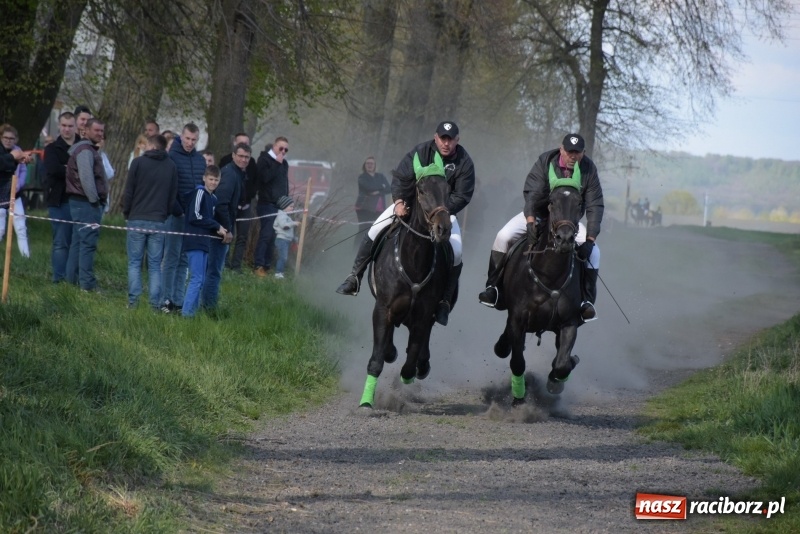 Zdjęcie w galerii na portalu naszraciborz.pl: Rekordowa liczba koni w Bieńkowicach [FOTO i WIDEO] wiadomości z regionu