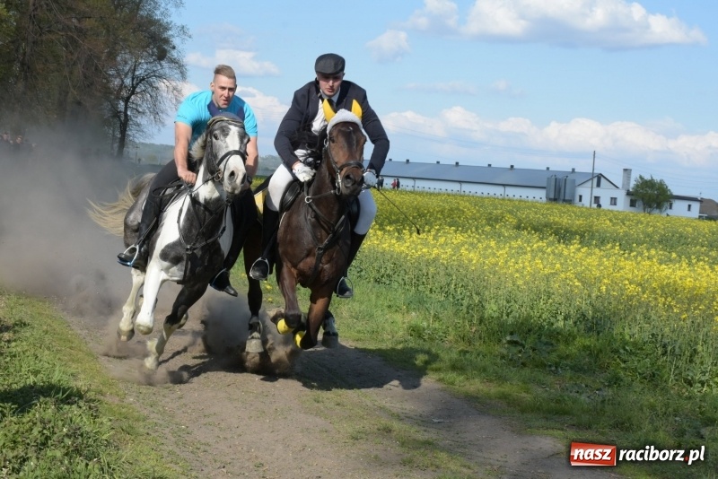 Zdjęcie w galerii na portalu naszraciborz.pl: Rekordowa liczba koni w Bieńkowicach [FOTO i WIDEO] wiadomości z regionu
