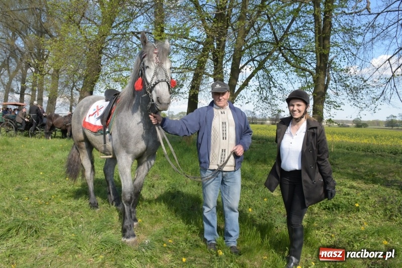 Zdjęcie w galerii na portalu naszraciborz.pl: Rekordowa liczba koni w Bieńkowicach [FOTO i WIDEO] wiadomości z regionu