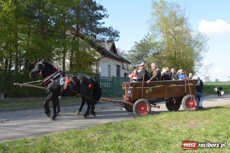 Zdjęcie w galerii na portalu naszraciborz.pl: Rekordowa liczba koni w Bieńkowicach [FOTO i WIDEO] wiadomości z regionu